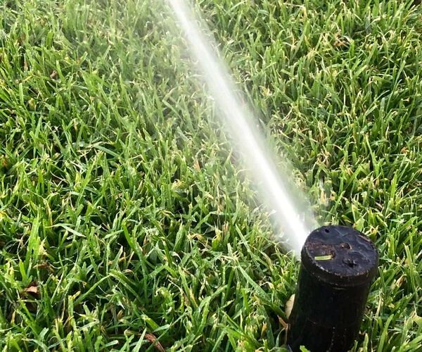 Gartenausstattung & Garteneinrichtung | OCHSENFARTH Gärtner von Eden Schalksmühle