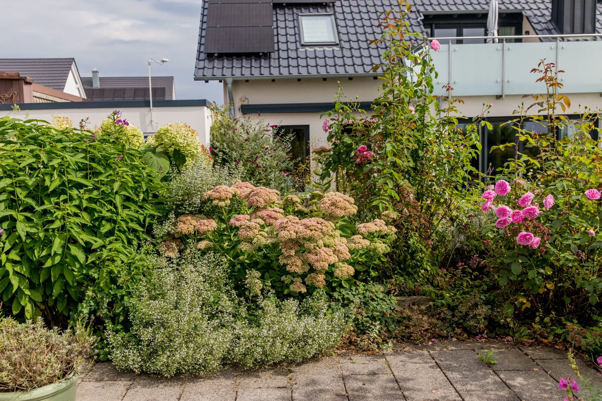 Willkommen im Pflanzenreich