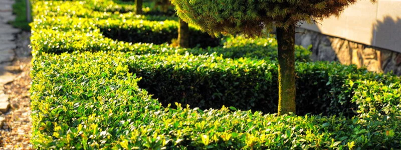 Garten im Herbst: Jetzt für den Winter vorbereiten