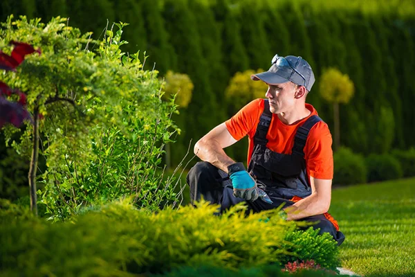 Gartenpflege: gepflegter grüner Garten von OCHSENFARTH Gärtner von Eden in Schalksmühle