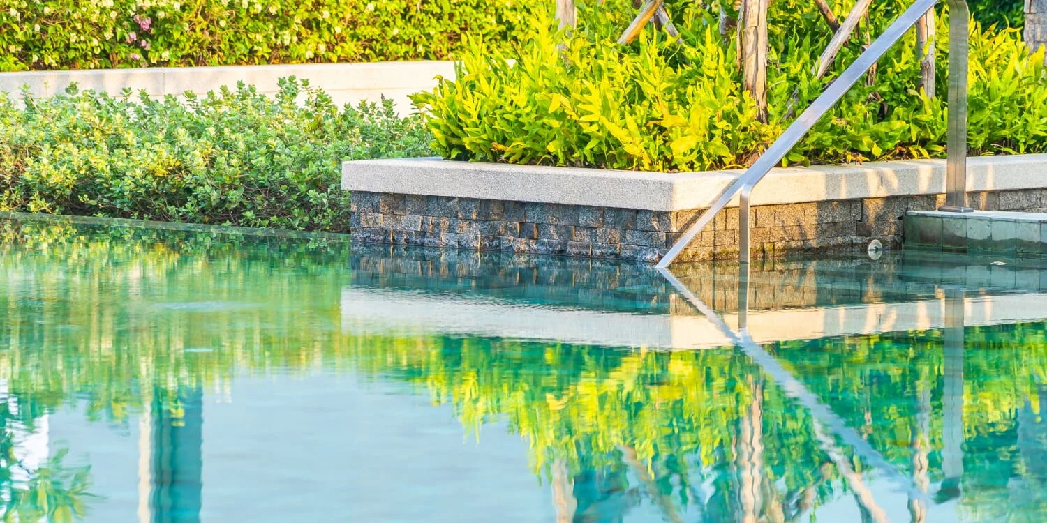 Klares Wasser und bepflanzter Rand eines Schwimmteichs