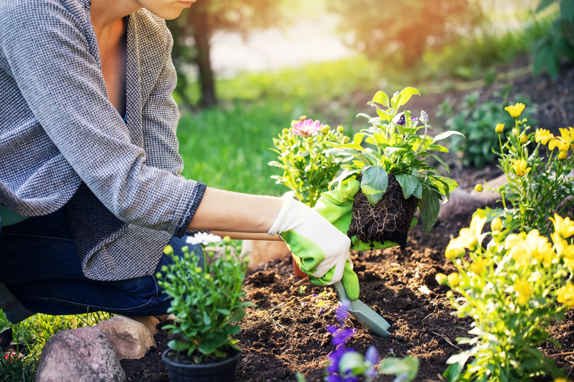 Gartenpflege mit Handschuhen und Werkzeug im bepflanzten Beet
