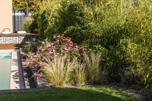 Pool und Wintergarten