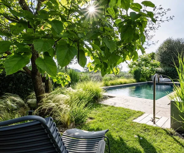 Gartengestaltung mit Pflanzen | OCHSENFARTH Gärtner von Eden Schalksmühle
