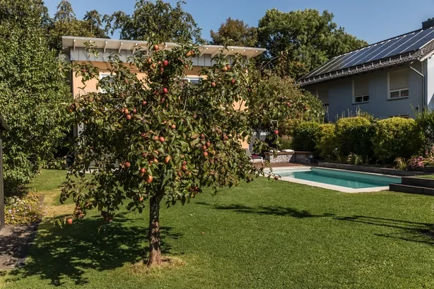 Pool und Wintergarten