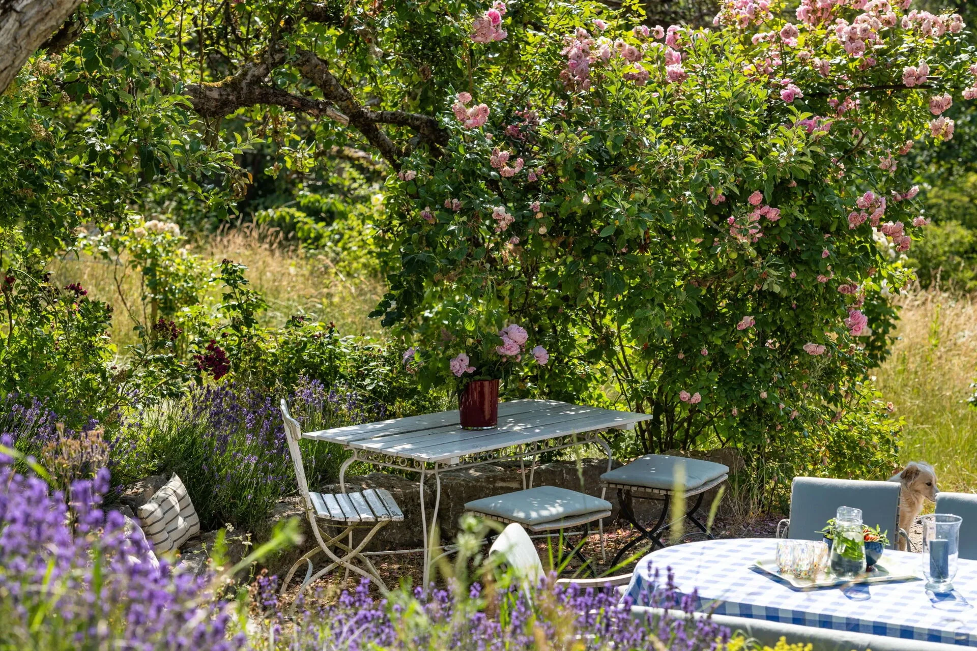 Gartenpflege & Gartenservice | OCHSENFARTH Gärtner von Eden Schalksmühle