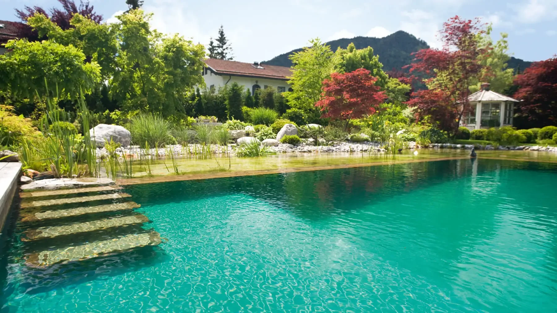 Schwimmteich mit breitem Treppeneinstieg und üppig bepflanztem Ufer