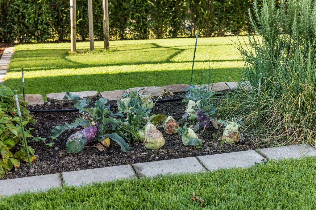 Leben im Garten