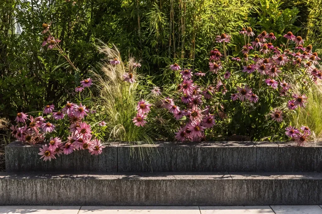 Pool und Wintergarten