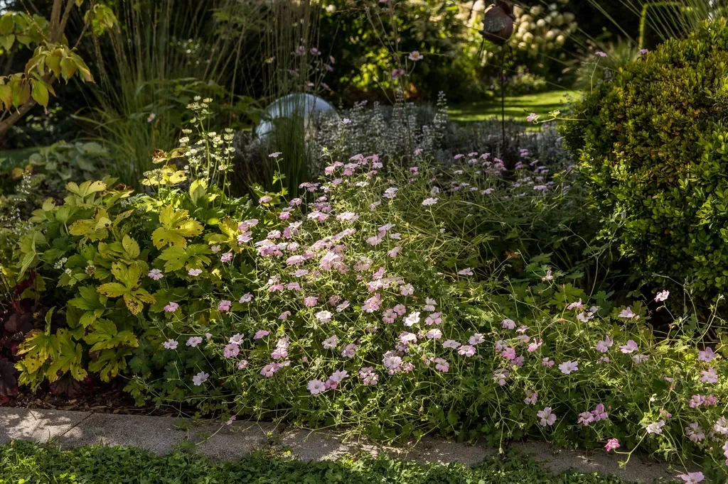 Schöner Wohngarten