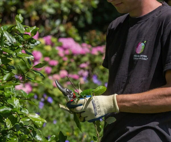Gartenpflege & Gartenservice | OCHSENFARTH Gärtner von Eden Schalksmühle