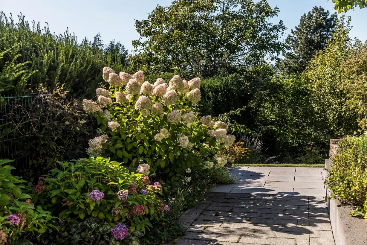 Kundenberatung & Gartenplanung