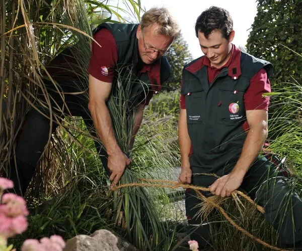 Gartenpflege & Gartenservice | OCHSENFARTH Gärtner von Eden Schalksmühle