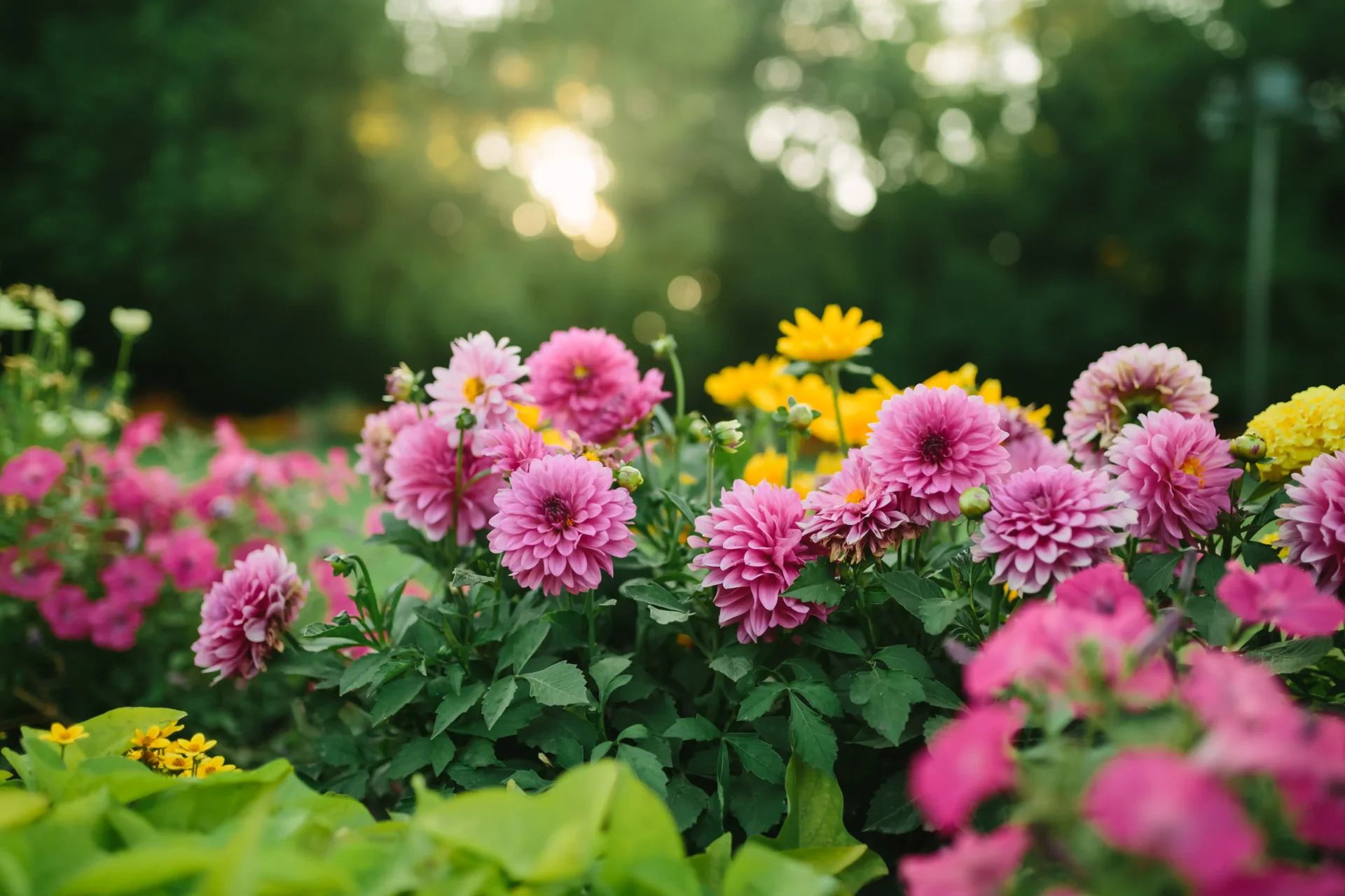 Garten- und Landschaftsbau Iserlohn | Garten Ochsenfarth